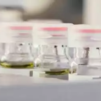 Olive oil in the laboratory test at Chemiservice the specialist for olive oil analysis